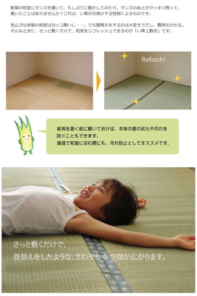 代引不可 い草 上敷きカーペット ござ 六一間8畳 約370×370cm 九州産い草使用 畳の日焼けや汚れ防止に 空気浄化 調湿 消臭 抗菌防臭 両面 コンパクト収納 双目織 松 純国産 日本製 IKEHIKO 1113368_2