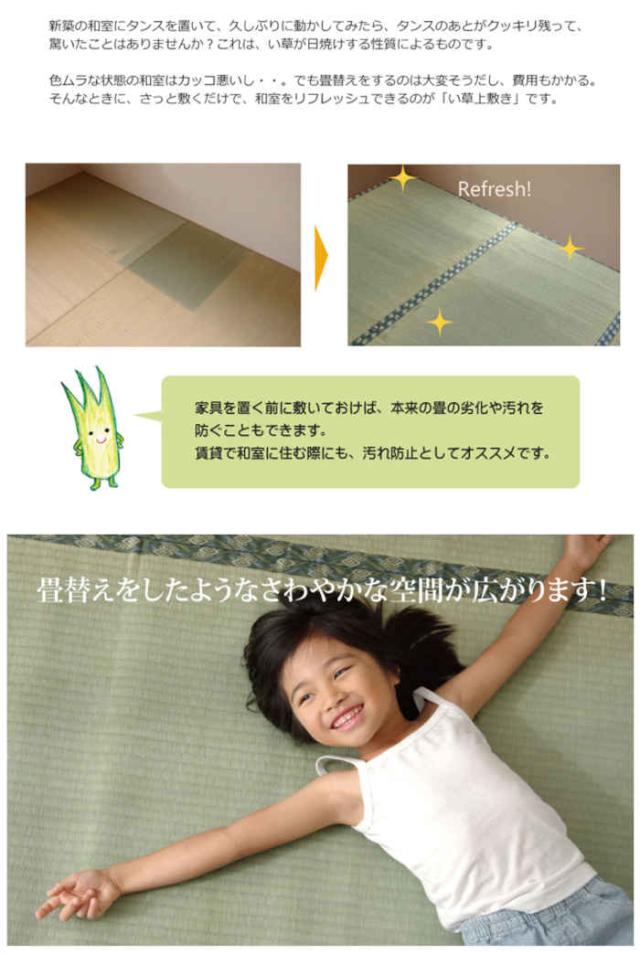 代引不可 い草 上敷きカーペット ござ 本間6畳 約286×382cm 減農薬栽培 熊本県八代産い草使用 畳の日焼けや汚れ防止に 調湿 消臭 抗菌防臭 両面 コンパクト収納 糸引織 西陣 純国産 日本製 IKEHIKO 6301086_2