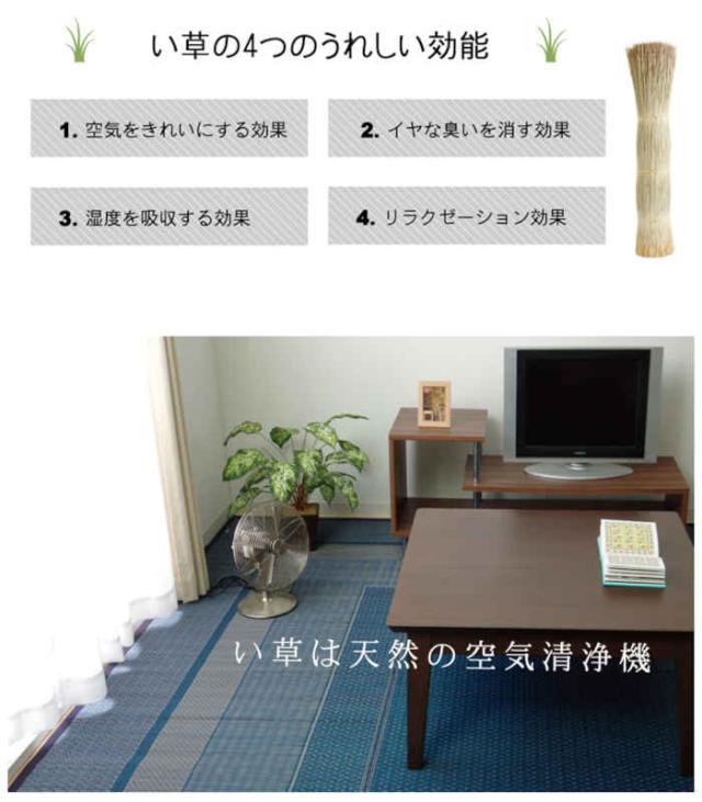 代引不可 い草 花ござ ござ ラグ カーペット マット 江戸間8畳 約348×352cm 九州産い草使用 調湿 消臭 空気浄化 抗菌防臭 青森ヒバ加工 夏用 春夏用 モダン アジアン ランクス 純国産 日本製 IKEHIKO RK348352_3