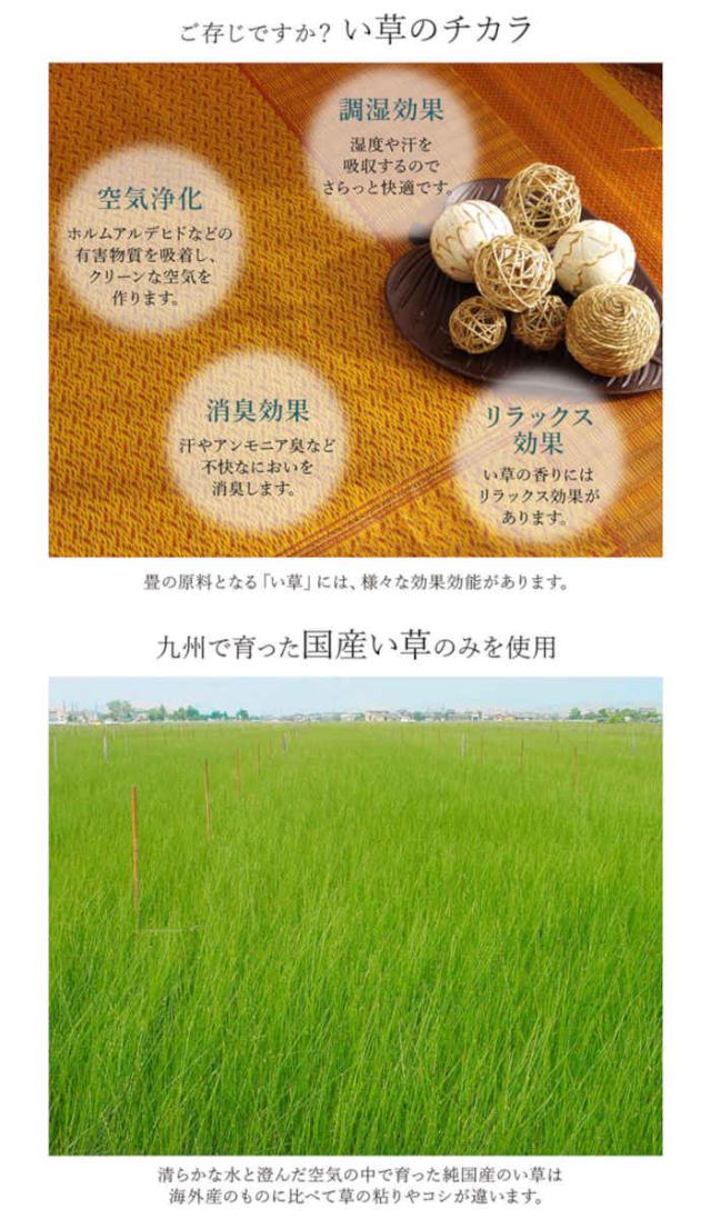 北海道・沖縄・離島配送不可 代引不可 ラグ カーペット い草 約176×230cm い草ラグ 抗菌防臭 調湿 空気浄化 消臭 リラックス 青森ヒバ加工 自然素材 耐久性 夏用 春夏用 モダン 和モダン アジアン 純国産 日本製 IKEHIKO RNK176230の通販は