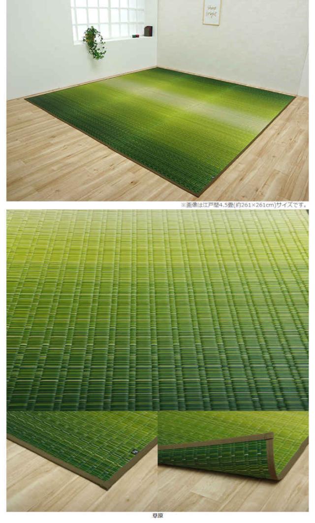 い草 花ござ ラグマット/絨毯 〔草原 グリーン 江戸間8畳 約348×352cm〕 日本製 抗菌 防臭 調湿 消臭 掛川織 〔リビング〕 い草 花ござ ラグマット&frasl;絨毯 〔草原 グリーン 江戸間8畳 約348×352cm