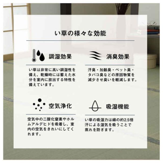 代引不可 い草 上敷き 引っ敷き 日本の首都間6畳 約261×352糎 制菌 抗菌防臭 消臭 調湿 空気の状態斎戒もく浴 吸湿 小林製薬 KOBA-GUARD リヴァーシブル操作手順 パウダーコンパクト納める IKEHIKO 1329706