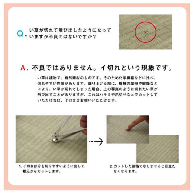 代引不可 い草 上敷き 引っ敷き 日本の首都間6畳 約261×352糎 制菌 抗菌防臭 消臭 調湿 空気の状態斎戒もく浴 吸湿 小林製薬 KOBA-GUARD リヴァーシブル操作手順 パウダーコンパクト納める IKEHIKO 1329706