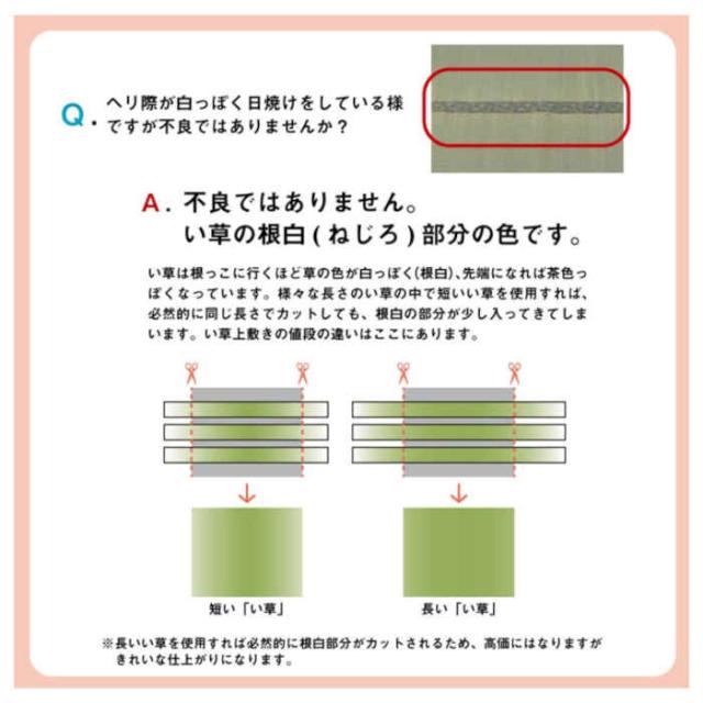 代引不可 い草 上敷き 引っ敷き 日本の首都間6畳 約261×352糎 制菌 抗菌防臭 消臭 調湿 空気の状態斎戒もく浴 吸湿 小林製薬 KOBA-GUARD リヴァーシブル操作手順 パウダーコンパクト納める IKEHIKO 1329706