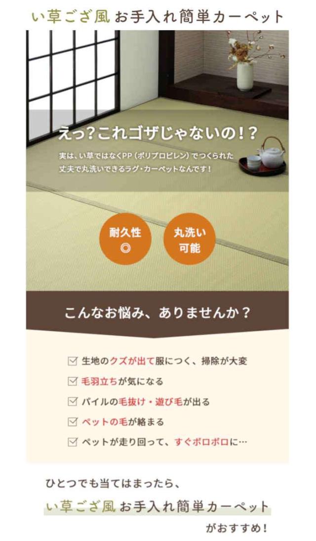 代引不可 い草風 ござ ラグ カーペット 江戸間10畳 約435×352cm 敷詰 洗える 日本製 国産 両面 リバーシブル 丈夫 除菌スプレー対応 お手入れ簡単 ペット IKEHIKO MIS435352_1