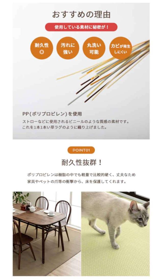 代引不可 い草風 ござ ラグ カーペット 江戸間10畳 約435×352cm 敷詰 洗える 日本製 国産 両面 リバーシブル 丈夫 除菌スプレー対応 お手入れ簡単 ペット IKEHIKO MIS435352_2