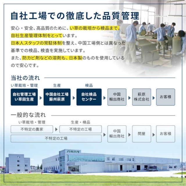 北海道・沖縄・離島送りとどける不可 代引不可 置き畳 社会的単位畳 取り合わせ畳 細長い切口のできにくいフラッタ 続きもの 約65×65×1.5糎 同色12枚組 い草100% 縁なし 抗菌類 消臭 四季 HAGIHARA 140166810x
