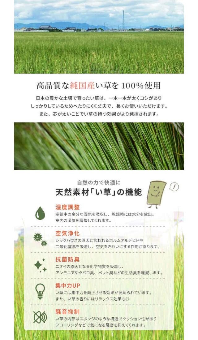 北海道・沖縄・離島配送不可 代引不可 廊下敷き 国産い草100% 裏貼り 95×440cm ロングマット ラグ カーペット 抗カビ 消臭 滑り止め加工 エルモード HAGIHARA 81830268x_2