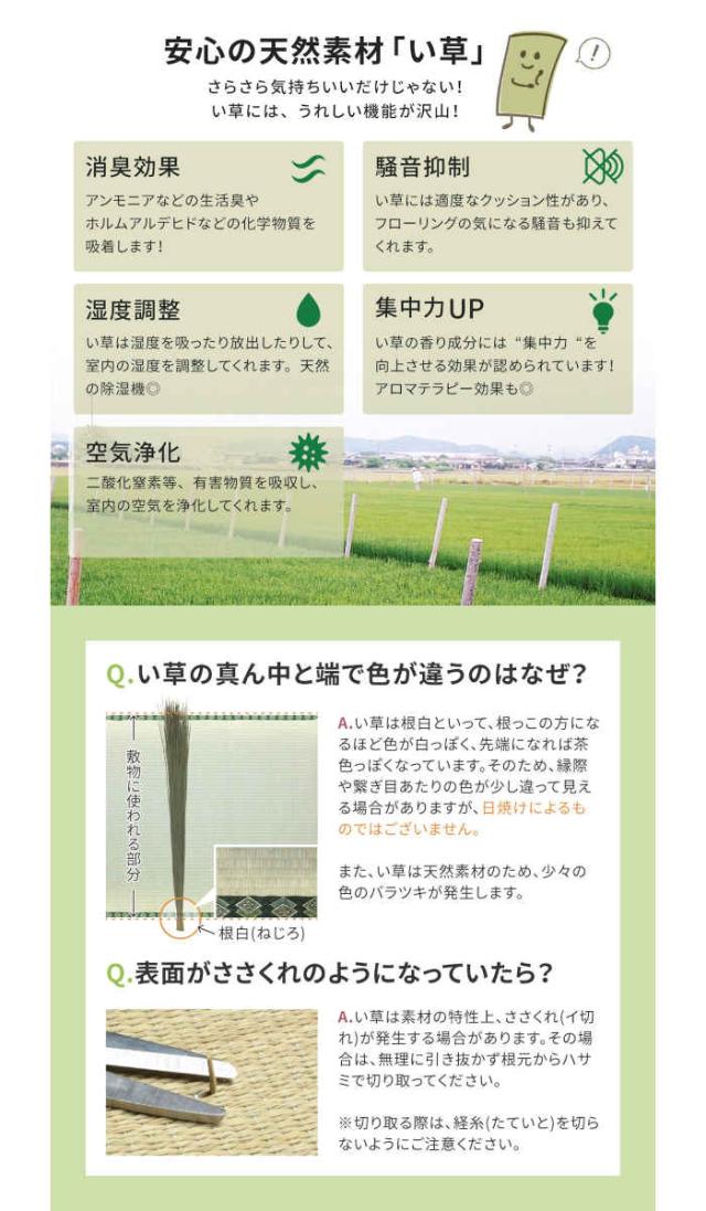 北海道・沖縄・離島配送不可 代引不可 い草カーペット 上敷き 61間4.5畳 277×277cm い草100% 双目織 両面使える 四方縁 敷き詰め 抗カビ 消臭 撥水 インテリア 夏用 備前 HAGIHARA 158009245_5