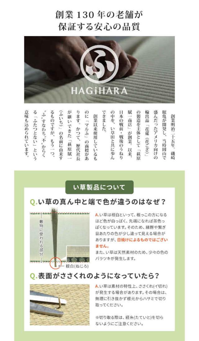 北海道・沖縄・離島配送不可 代引不可 い草カーペット 上敷き 本間8畳 382×382cm 国産い草100% 抗カビ 消臭 裏貼りなし 四方縁 お掃除ロボット対応 日本製 インテリア 夏用 清涼 HAGIHARA 81965280x_3