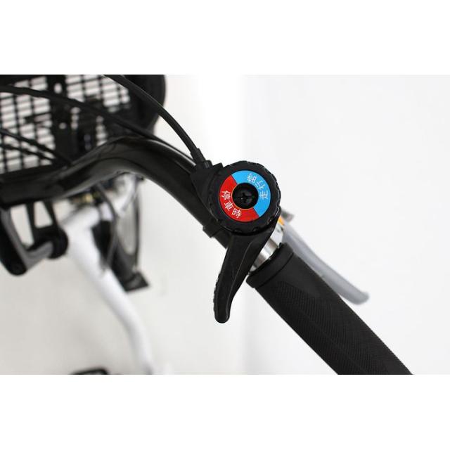 北海道・沖縄・離島配送不可 代引不可 三輪自転車 SWING CHARLIE ロー