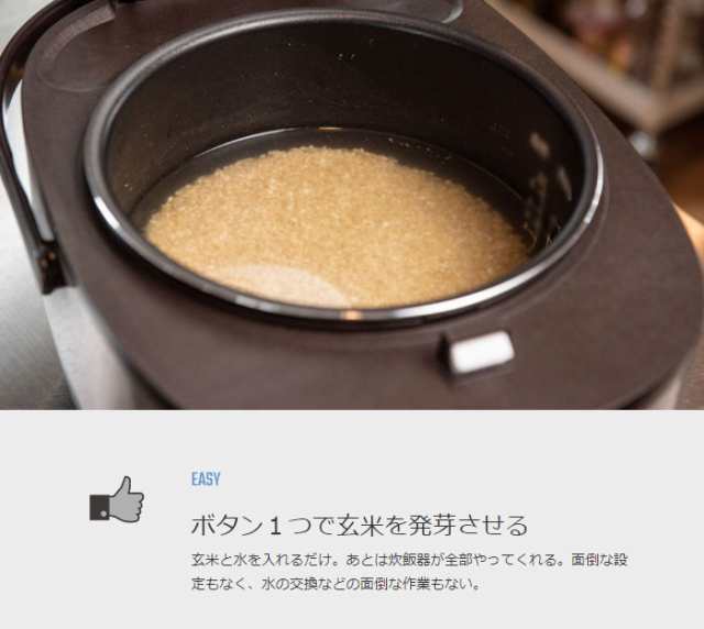 直販大セール ANABAS 玄米が発芽するこだわり健康サポート炊飯器 ARM