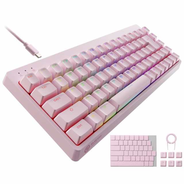 代引不可 ゲーミングキーボード 有線 着脱式ケーブル RGB メカニカル ( 銀軸 / スピードリニア ) 日本語配列 テンキーレス USB A ポート