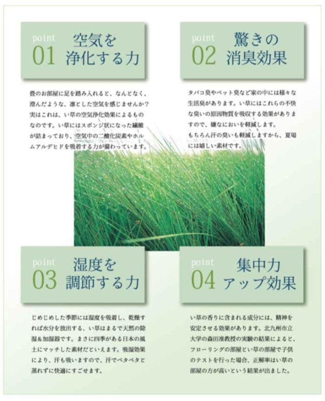 北海道・沖縄・離島配送不可 代引不可 い草 ラグ カーペット マット い草カーペット 江戸間6畳 約261×352cm 上質な九州産い草使用 調湿 空気浄化 抗菌防臭 夏用 春夏用 モダン 掛川織 奥丹後 純国産 日本製 ベージュ IKEHIKO 4412906の通販は