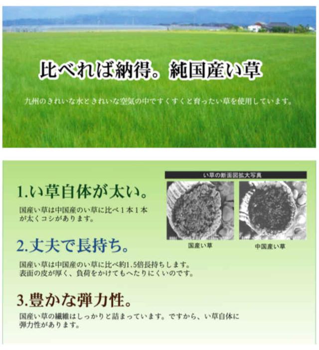 北海道・沖縄・離島配送不可 代引不可 い草 ラグ カーペット マット い草カーペット 江戸間6畳 約261×352cm 上質な九州産い草使用 調湿 空気浄化 抗菌防臭 夏用 春夏用 モダン 掛川織 奥丹後 純国産 日本製 ベージュ IKEHIKO 4412906の通販は