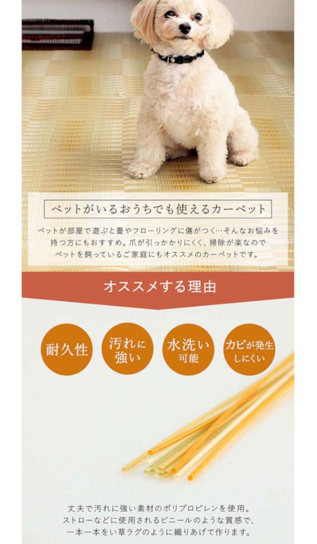 北海道・沖縄・離島配送不可 代引不可 ござ 江戸間4.5畳 261×261cm カーペット ラグ 日本製 国産 ポリプロピレン 耐久性 汚れに強い 洗える カビにくい 除菌スプレー対応 インテリア アウトドア レジャー ペット 日本製 IKEHIKO HYR261261の通販は