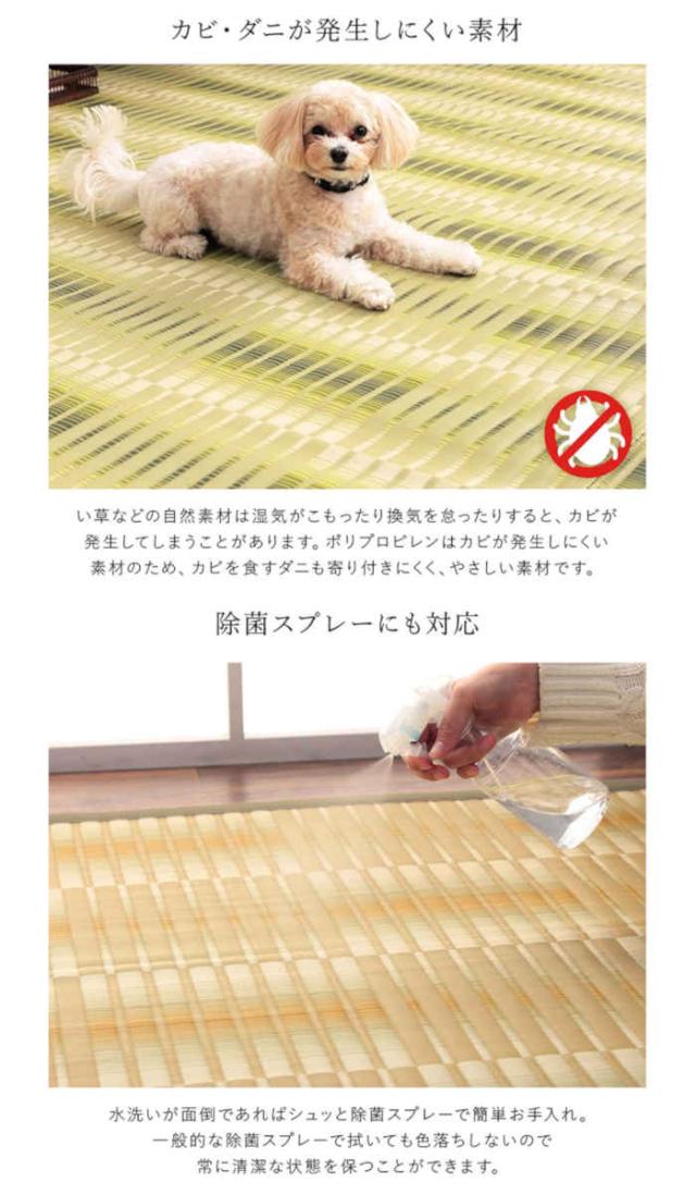 北海道・沖縄・離島配送不可 代引不可 ござ 江戸間4.5畳 261×261cm カーペット ラグ 日本製 国産 ポリプロピレン 耐久性 汚れに強い 洗える カビにくい 除菌スプレー対応 インテリア アウトドア レジャー ペット 日本製 IKEHIKO HYR261261の通販は