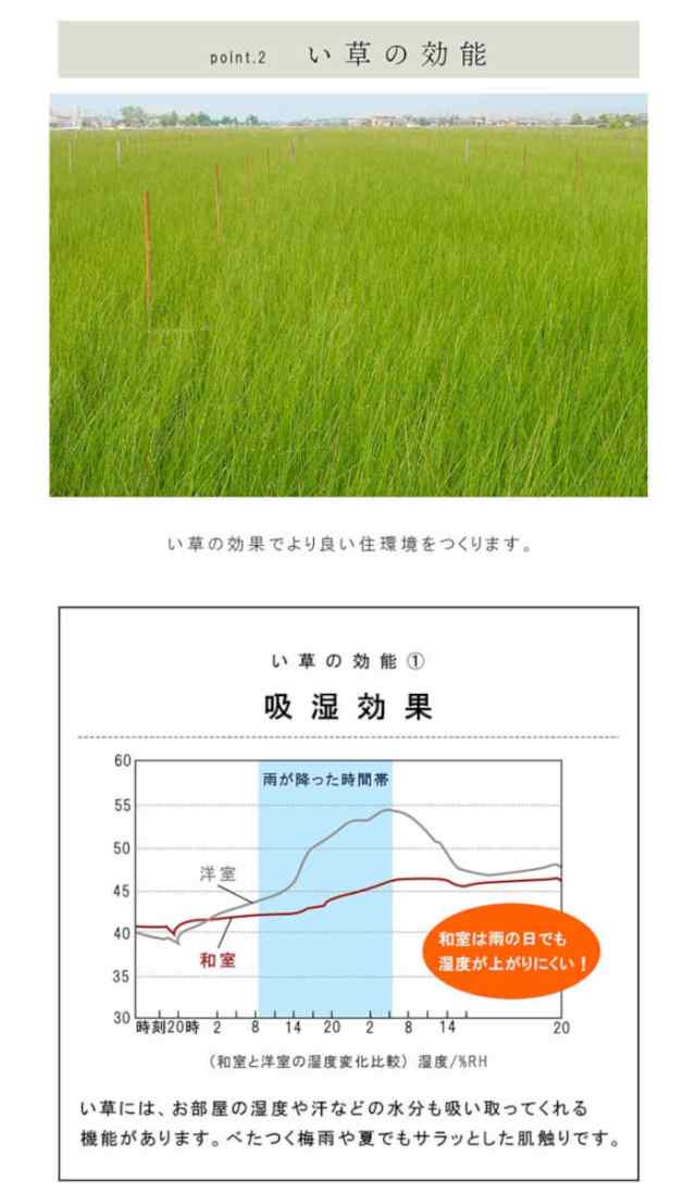 北海道・沖縄・離島配送不可 代引不可 置き畳 国産 日本製 い草 3層 約