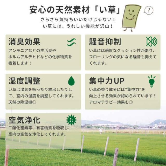 北海道・沖縄・離島配送不可 代引不可 い草ラグ い草マット 176×176cm 撥水 抗カビ 消臭 調湿 裏面不織布 インテリア 夏用 模様替え カジュアル 子供部屋 デニム パッチワーク柄 デニムパッチ HAGIHARA 819*****の通販は