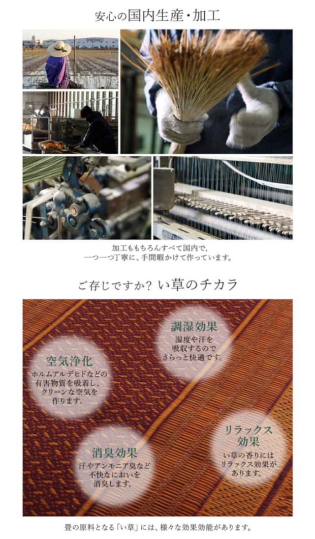 北海道・沖縄・離島配送不可 代引不可 い草 廊下敷き 花ござ ござ ラグ カーペット マット 約80×240cm 裏面不織布貼り 調湿 消臭 空気浄化 抗菌防臭 青森ヒバ加工 夏用 春夏用 モダン アジアン DXランクス 純国産 日本製 IKEHIKO DXRNK240 廊下敷きマット