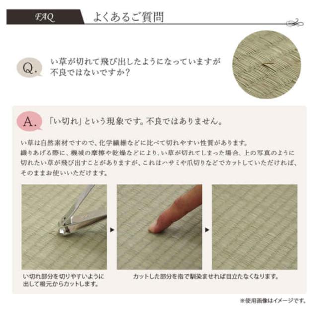 北海道・沖縄・離島配送不可 代引不可 い草 廊下敷き 花ござ ござ ラグ カーペット マット 約80×240cm 裏面不織布貼り 調湿 消臭 空気浄化 抗菌防臭 青森ヒバ加工 夏用 春夏用 モダン アジアン DXランクス 純国産 日本製 IKEHIKO DXRNK240 廊下敷きマット