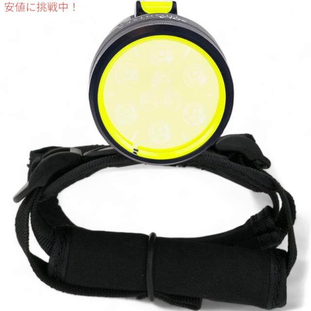 素朴で可愛いドイツアンティークベア藁詰めグラスアイ鳴きます38