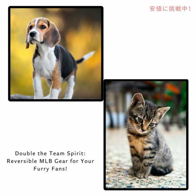 Pets First ペット 犬 猫 MLB シカゴカブス リバーシブル Tシャツ ラージサイズ 公式ライセンス MLB Chicago Cubs Reversible T-Shirt, Largeの通販は Pets First ペット 犬 猫 MLB シカゴカブス リバーシブル Tシャツ ラージサイズ 公式ライセンス MLB Chicago Cubs Reversible T-Shirt, Largeの通販は