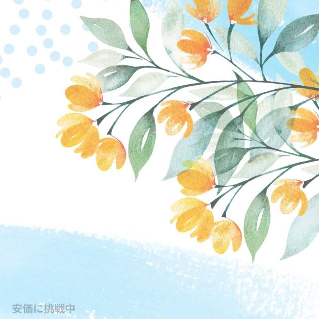 6個セット シークレット インビジブルソリッド スプリングブリーズ デオドラント  2.6oz / Secret Invisible Solid Spring Breeze 73g