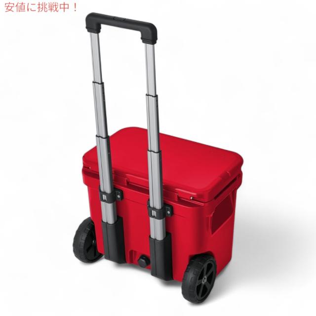 ぴる様専用 無農薬 そら豆の種 初姫 800粒＋おまけ付き(264g)