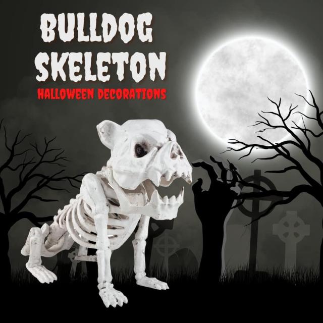 フレンチ ブルドッグ 犬 ハロウィン スケルトン - L 長さ 16 インチの