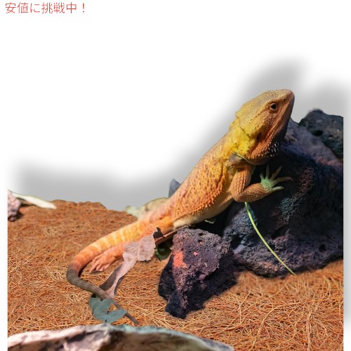 【3枚】ZeeDix ジーディックス 爬虫類カーペット Reptile Carpet 24x48inches [天然ココナッツファイバーペットマット、カメカーペット]