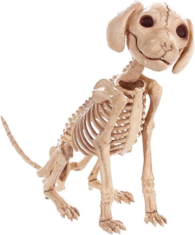 LKXHarleya ハロウィン スケルトン子犬 ミニプードル犬