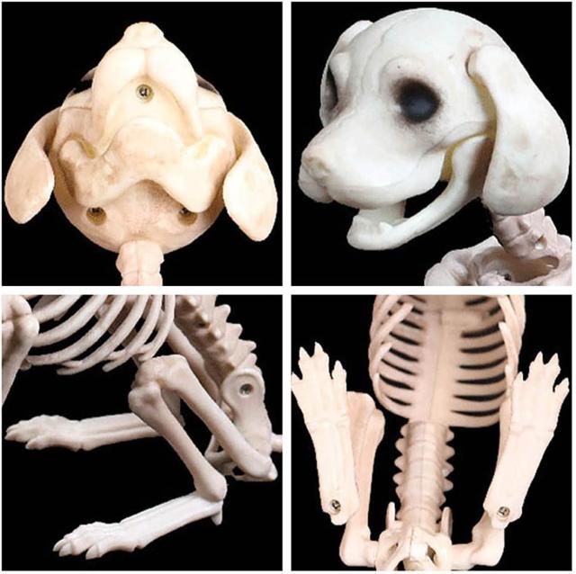 LKXHarleya ハロウィン スケルトン子犬 ミニプードル犬 スケルトン 犬 