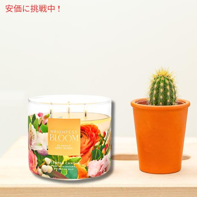新品　バス&ボディワークス　キャンドル　3点セット 楽天市場】【店内8000円以上1000円OFF】[灯りと香りで癒しの空間