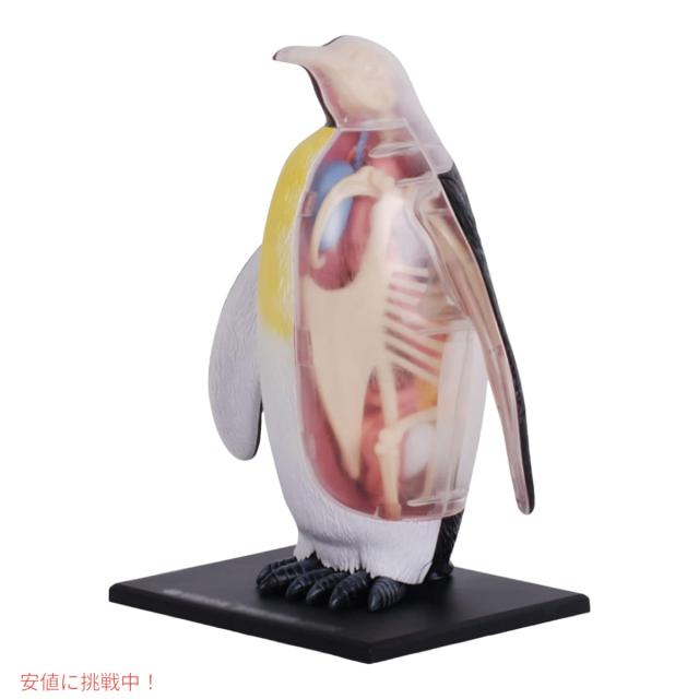 皇帝ペンギン Amazon.co.jp: 遊戯王 GENF-JP037-NR 《大皇帝ペンギン》 N-Rare
