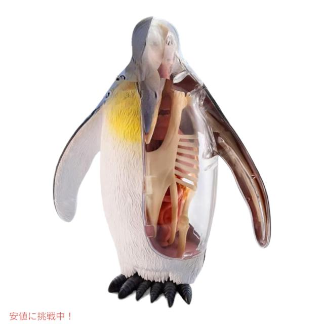 皇帝ペンギン 毛皮で覆われた皇帝ペンギン 3Dモデル $99 - .max - Free3D