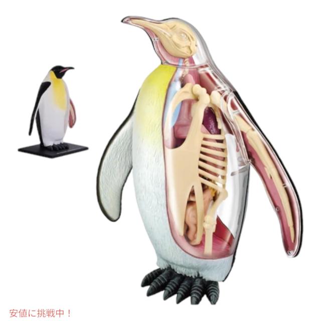 4Dビジョン 皇帝ペンギン 解剖模型 解剖モデル 4D Vision