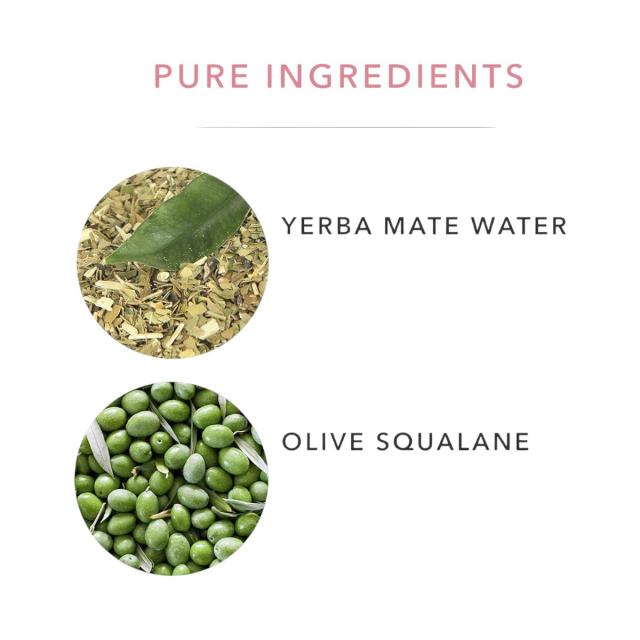 【公式】100% Pure 緑茶 EGCG 濃縮フェイスクリーム 1.4oz Green Tea EGCG Concentrate Face Cream 40ml【送料無料】