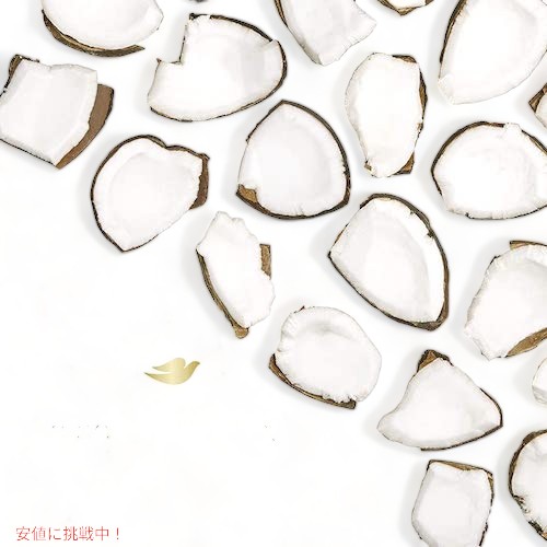 [6本セット] ダヴ Dove デオドラントスティック ココナッツ＆ピンクジャスミン 2.6oz Deodorant Stick Coconut & Pink Jasmine 74g