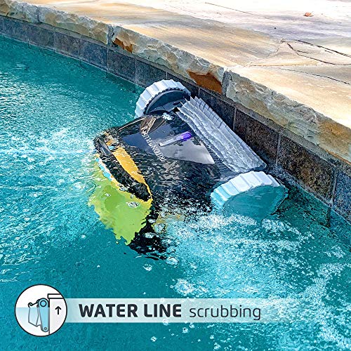 Dolphin ドルフィン トライトン PS Plus WiFi 操作式ロボット プール