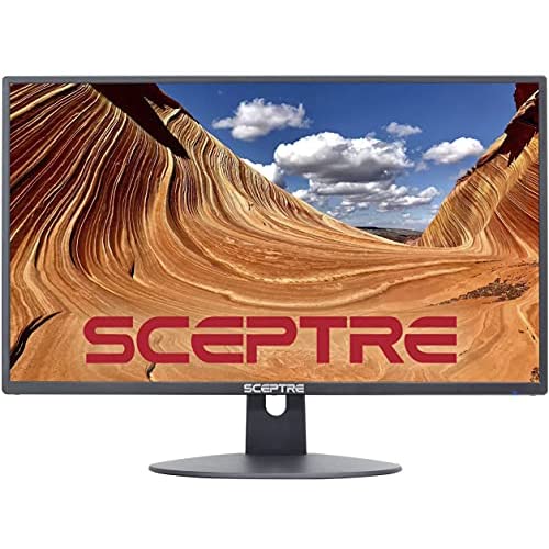 Scepter 24インチ プロフェッショナル 薄型 75Hz 1080p モニター ブラック (E248W-19203R) 19,166円