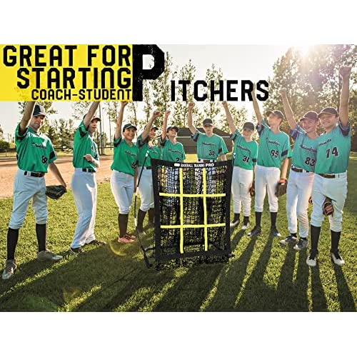 JAPER BEES 野球ピッチングネット ストライクゾーン付き キャリー