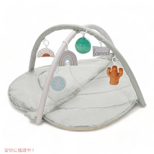 little dove (リトルダヴ)  ベビープレイジム、サボテン幼児アクティビティジムステージベースの発達ベビージムの通販は