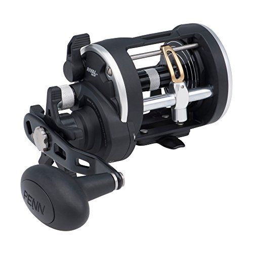Penn RIV15LWライバルレベルウィンド、ブラック、15