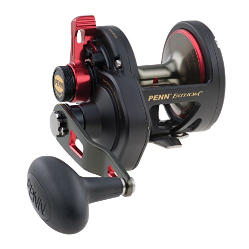 ダイワ(Daiwa) セルテート SW 5000-H 21年追加モデルの通販は