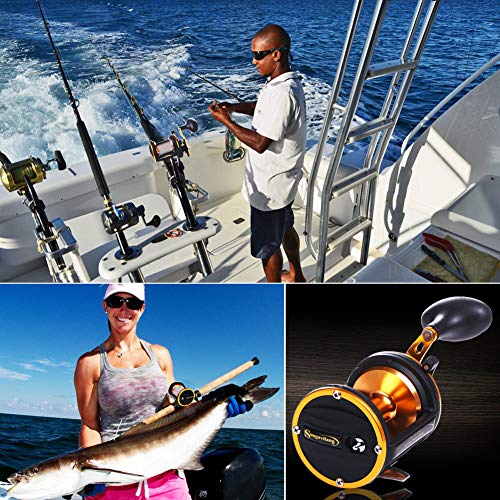 Sougayilang 従来のリールトローリングフィッシングリールソルト