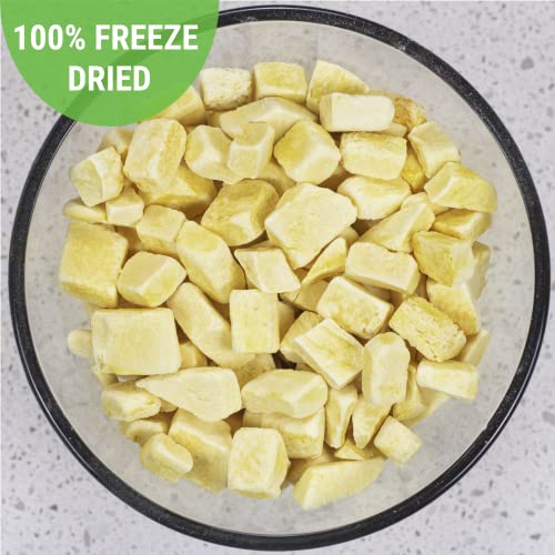 ニュートリストア フリーズドライ バターナッツスカッシュパーフェクトヘルシースナック緊急バルク食品貯蔵25年の貯蔵寿命 ニュートリストア フリーズドライ バターナッツスカッシュパーフェクト