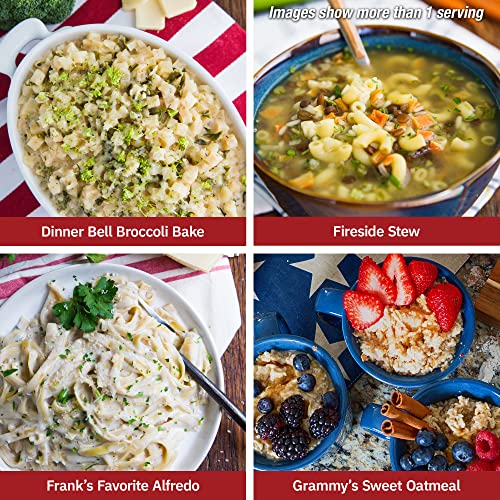 4Patriots Food Supply - 4 週間キット - フリーズドライ食品 - 25 年