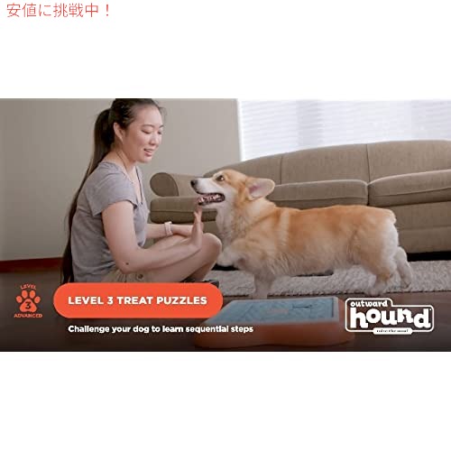 Nina Ottosson by Outward Hound チャレンジ スライダー インタラクティブ トリート パズル 犬のおもちゃ 上級_6