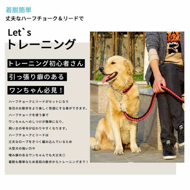 ハーフチョーク リードセット 大型犬 首輪 全4色 Lサイズ 丈夫な編み紐 チェーンタイプの通販はau Pay マーケット ガジェットグルメ